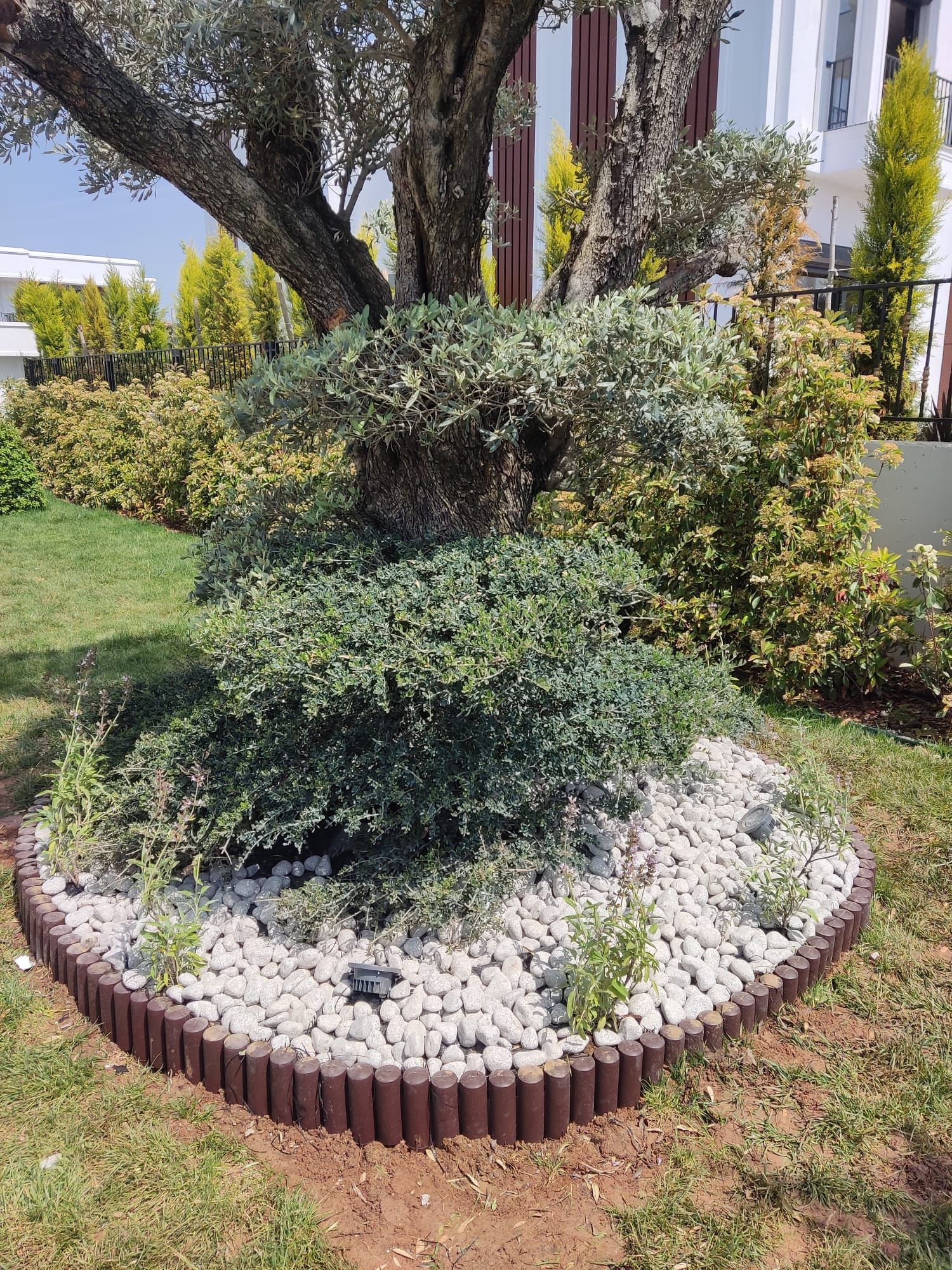 Bahçe Peyzaj Uygulaması